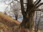 Al Pizzo Grande e al Monte Molinasco da Alino di S. Pellegrino il 16 marzo 2022-FOTOGALLERY